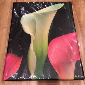 Cala Lily on Canvas 11” x 14”